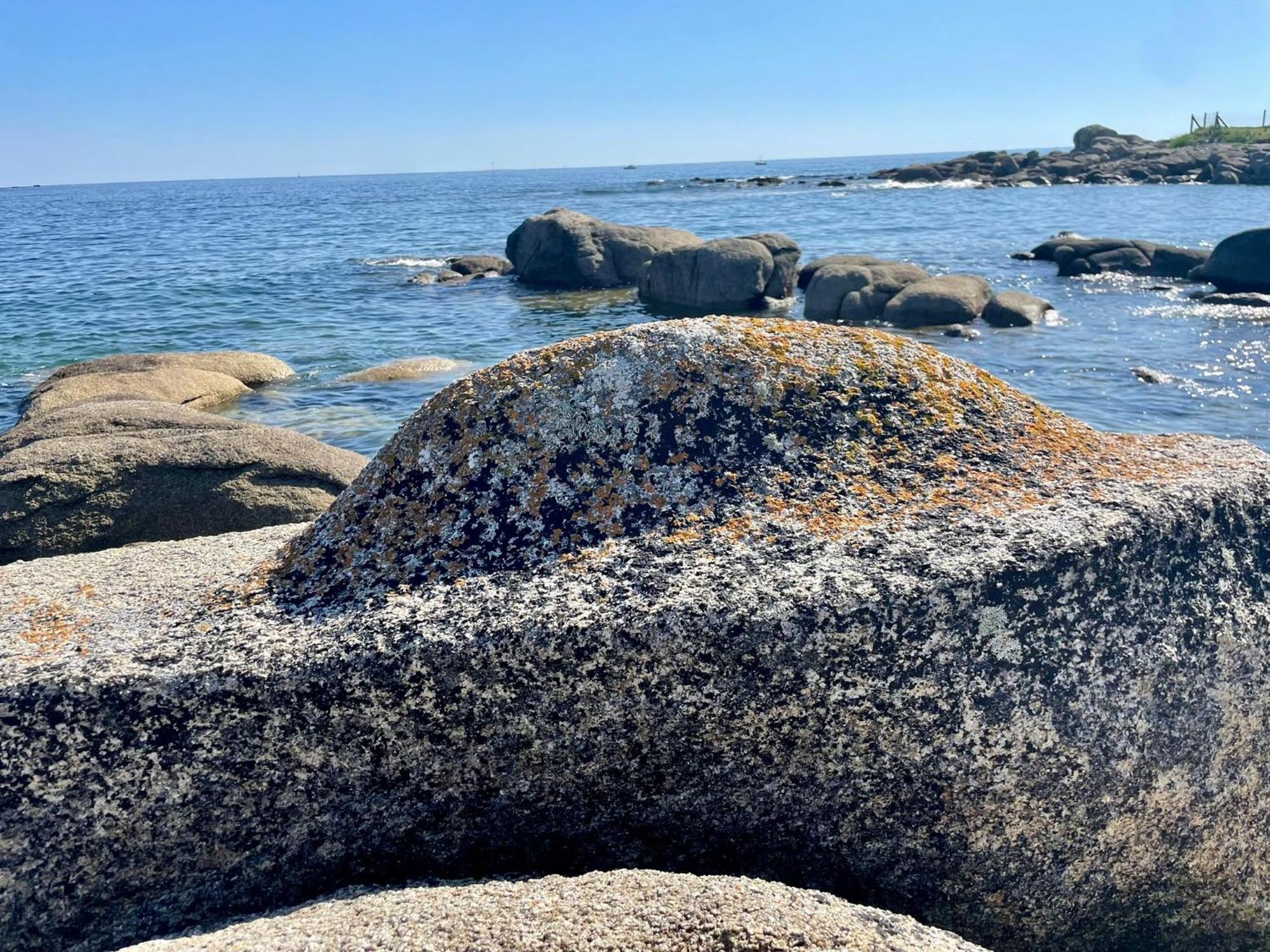2 Maisons De Vacances Sittelles Lodge Concarneau Zewnętrze zdjęcie